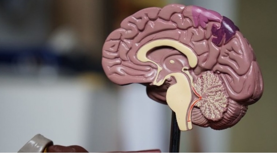 absh-ilk-alzheimer-dermanini-tesdiqleyib