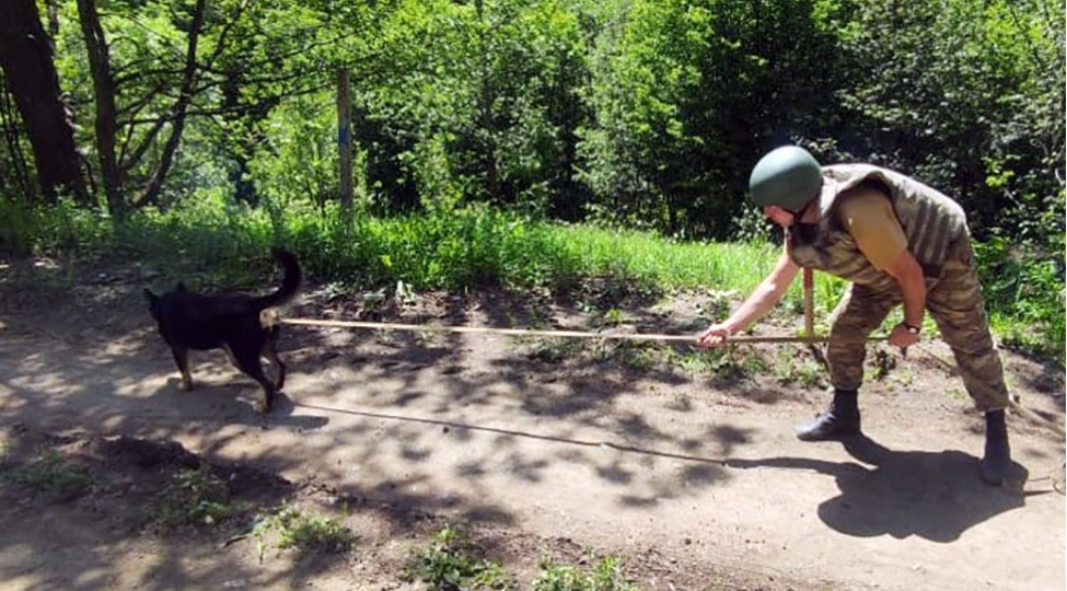 azad-edilmish-erazilerde-daha-237-mina-7-421-phs-ashkarlanib