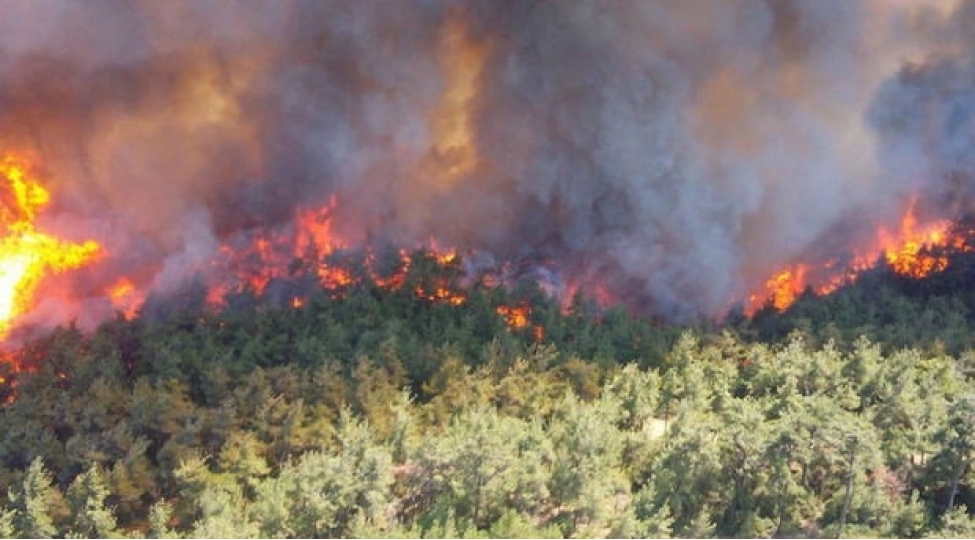 turkiyenin-daha-bir-bolgesinde-meshe-yangini-bashlayib