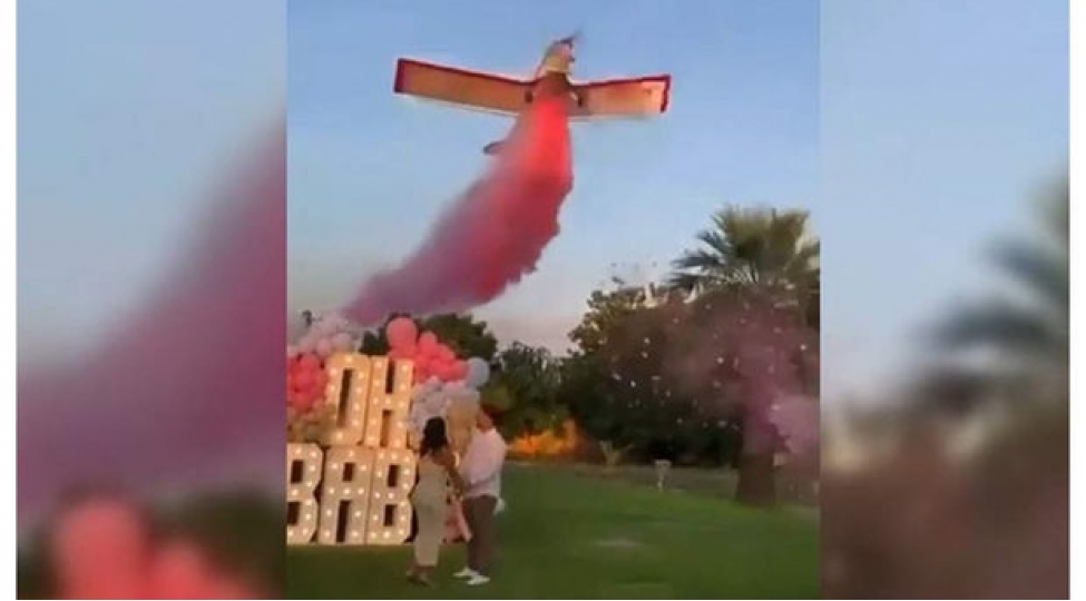 meksikada-korpenin-cinsiyyetinin-elan-edilmesi-merasiminde-teyyare-qezaya-ugradi-pilot-oldu