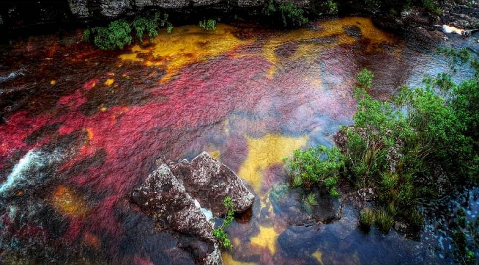 dunyanin-en-rengareng-chayi-haqqinda-melumatiniz-varmi