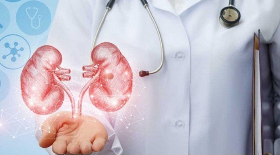 boyrek-dashi-riskini-azaldan-mehsullar