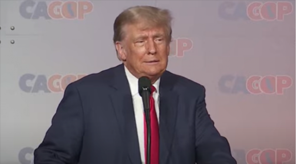 tramp-baydeni-ele-saldi-video