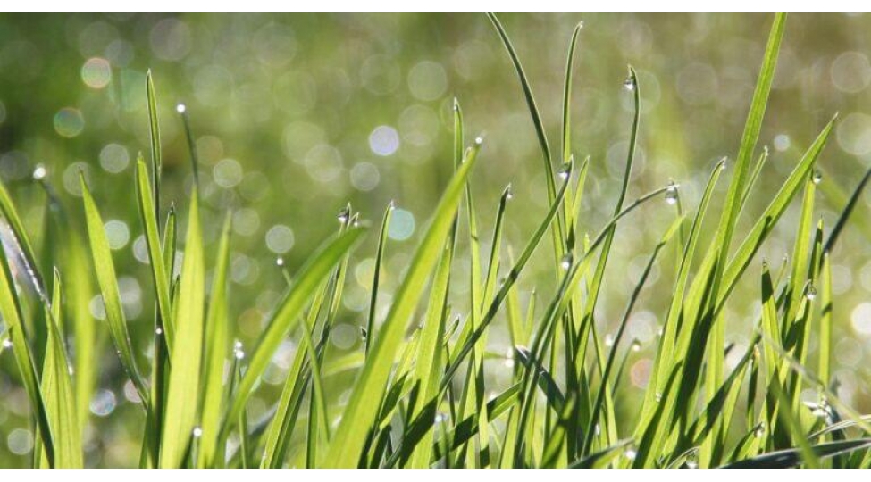 alimlerden-yeni-keshf