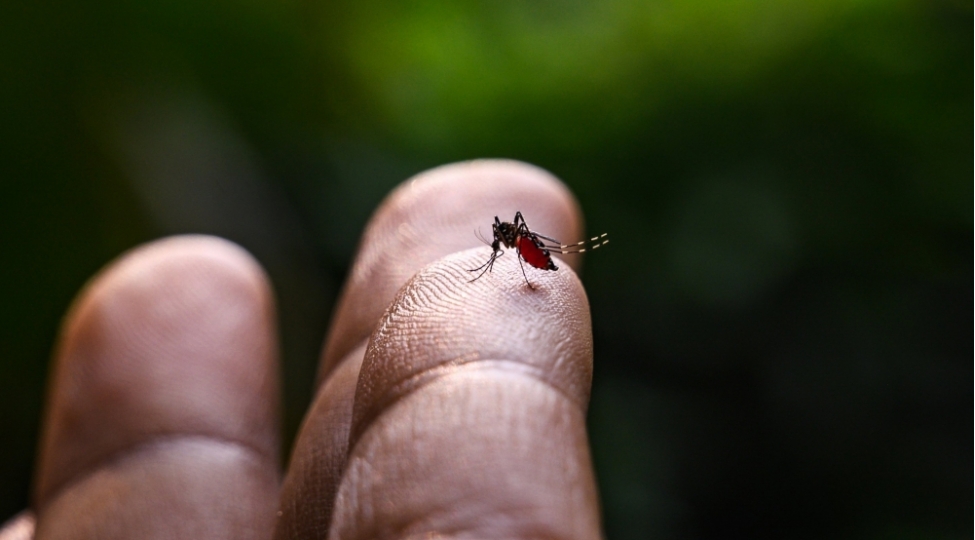 heyvanlardan-insana-kechen-xestelikler-2050-ci-ile-qeder-12-defe-arta-biler