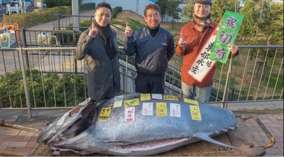 13-milyon-manata-baliq-satildi