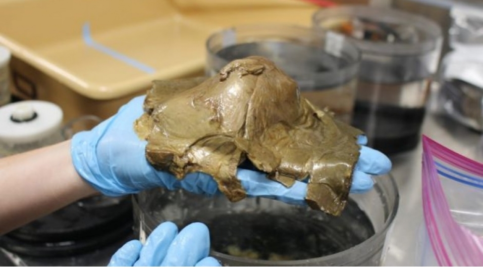 alyaskada-okeanin-derinliklerinde-sirli-qizil-kure-ashkar-edilib