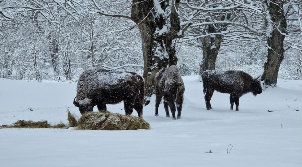 milli-parklardan-goruntuler-fotovideo