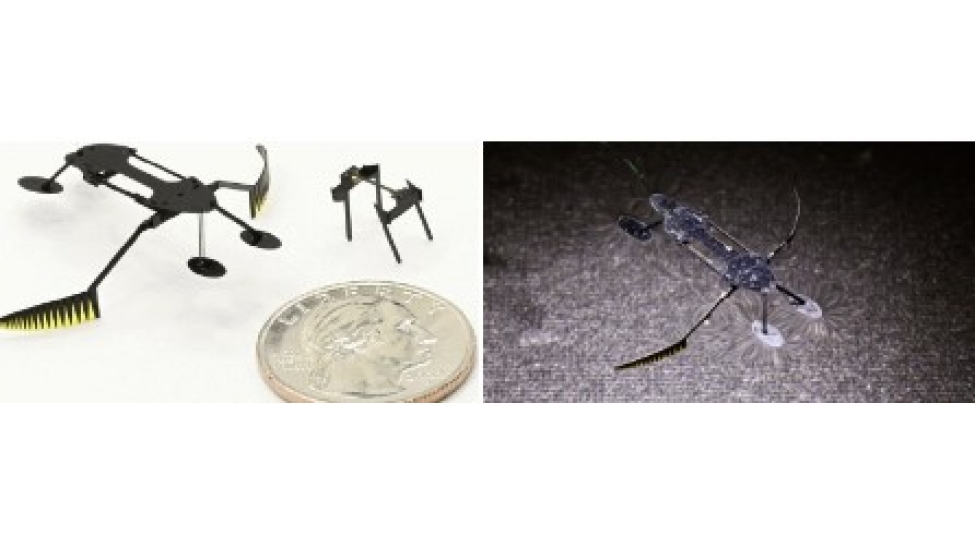 dunyanin-en-suretli-mikrorobotlari-yaradildi-fotolar
