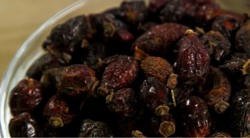 itburnunu-nece-demlemeli