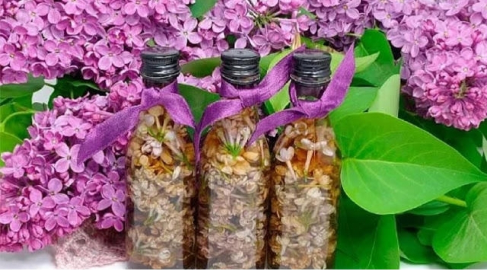 yasemen-shefa-menbeyidir