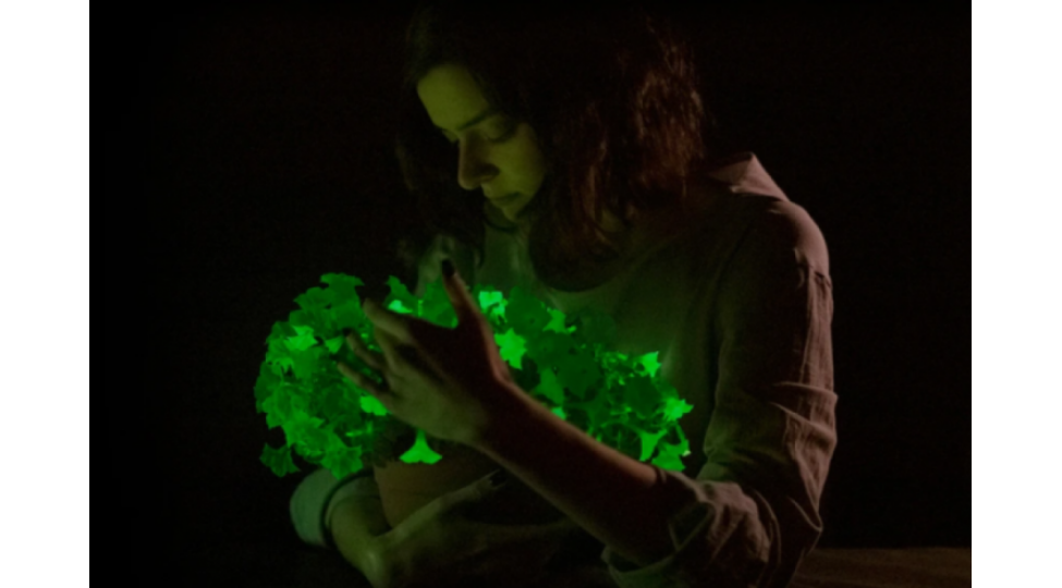 kuche-fenerlerinin-evezine-bitkilerden-istifade-teklif-edildi