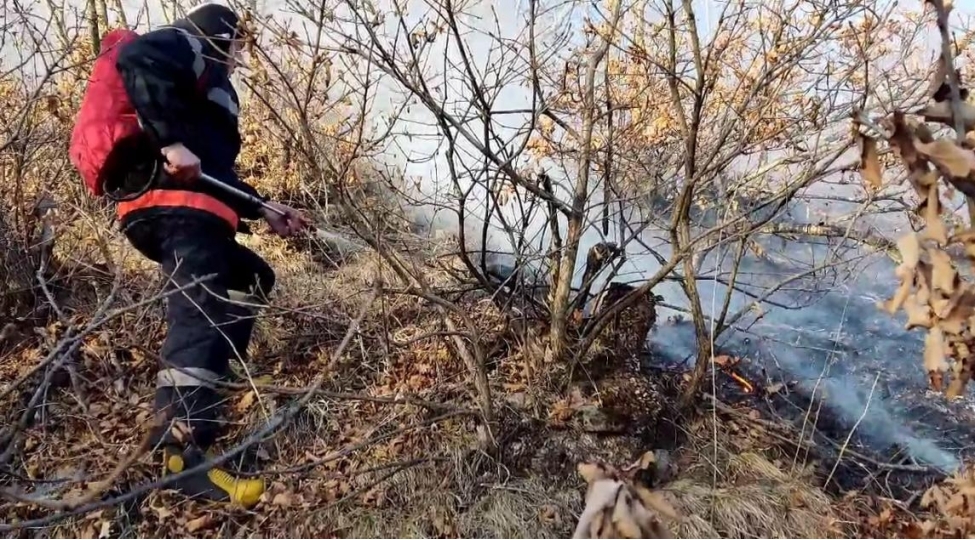 qusarda-dagliq-erazide-yangin-olub-fotovideo