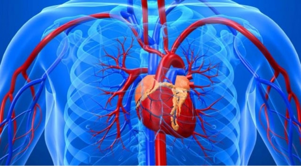 ariqlamaq-isteyenlere-xeberdarliq