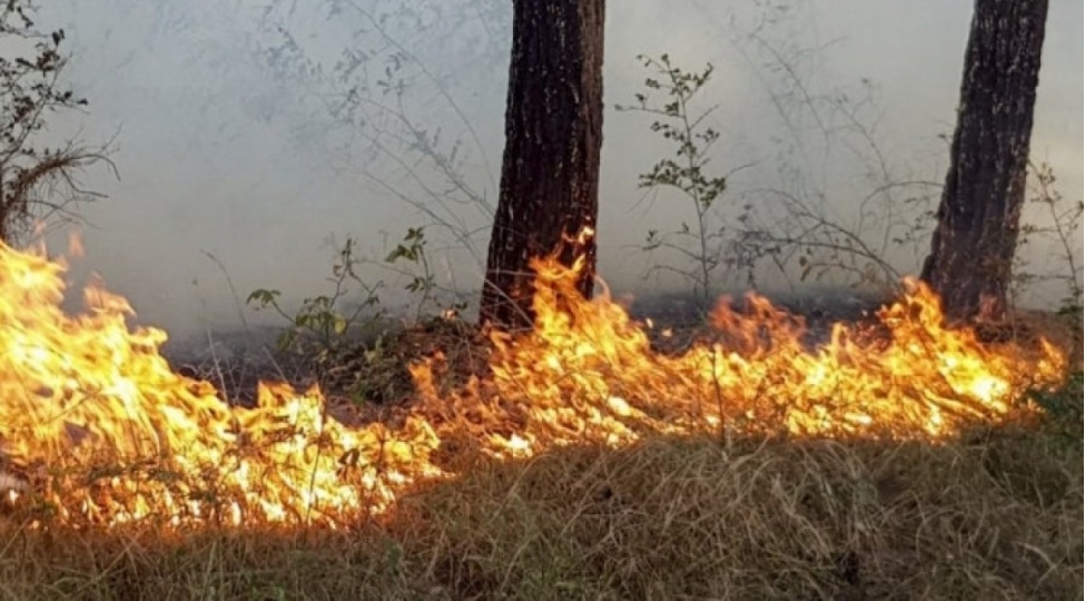 zengilanda-yangin-olub-video