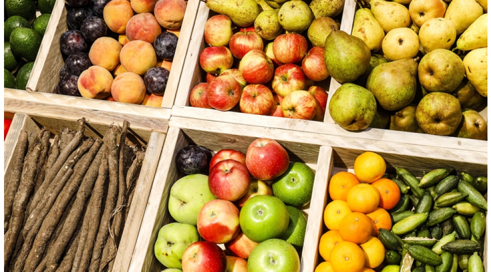 heddinden-artiq-meyve-istehlaki-qaraciyere-zerer-vere-biler-fokus