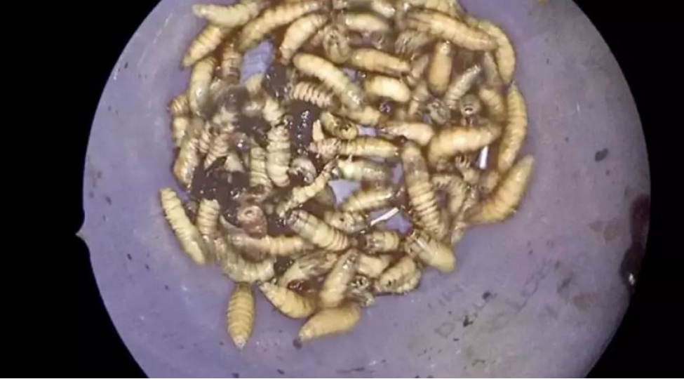 burnundan-chixanlar-her-kesi-teeccublendirdi-fotovideo