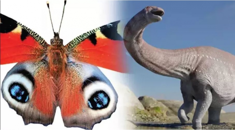 kepenekler-dinozavrlardan-daha-dozumludur