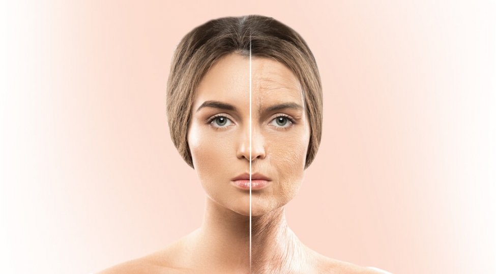 hansi-mehsullar-huceyrelerin-cavanlashmasina-komek-edir