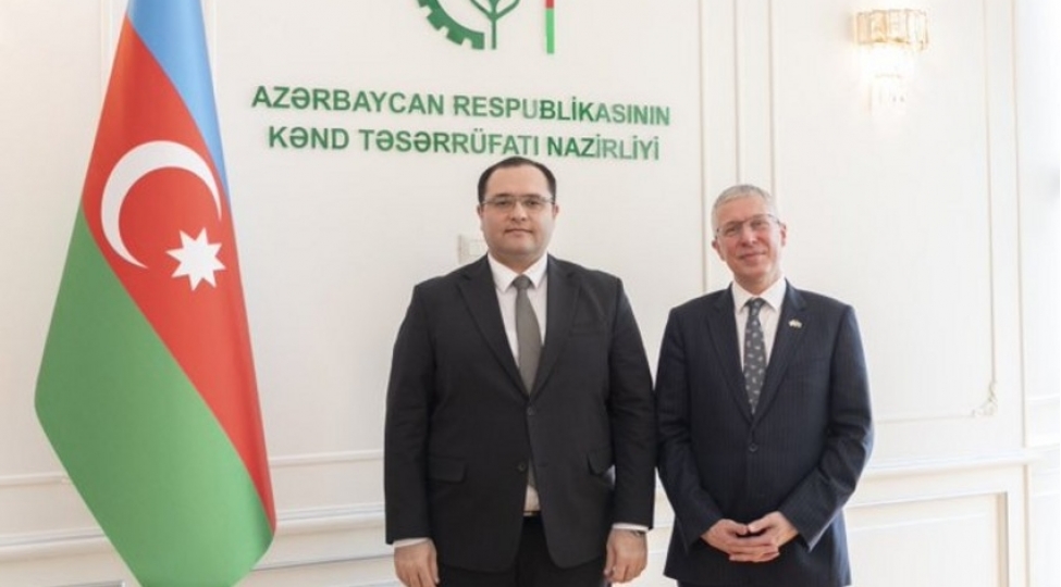 britaniya-sefiri-en-lezzetli-meyve-terevezi-azerbaycanda-daddim