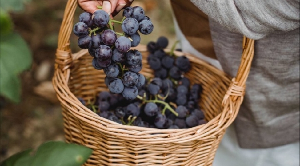 uzum-insan-omrunu-besh-il-uzadir