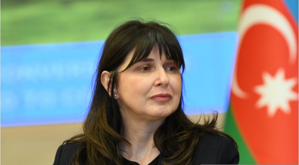 bmt-numayendesi-cop29-mukemmel-bir-platforma-olacaq