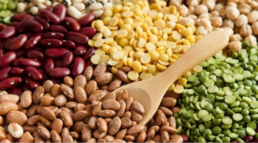 lobya-ve-mercimek-urek-uchun-faydalidir