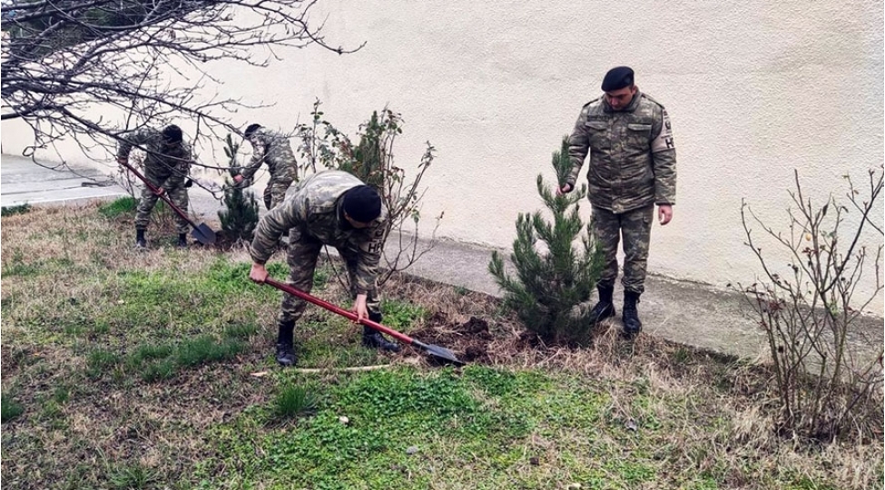 azerbaycan-ordusunda-novbeti-agacekme-aksiyalari-kechirilib