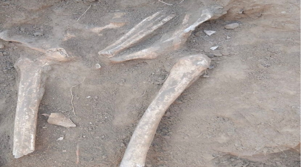 xocalida-insan-qaliqlari-ashkar-edilib-fotovideo