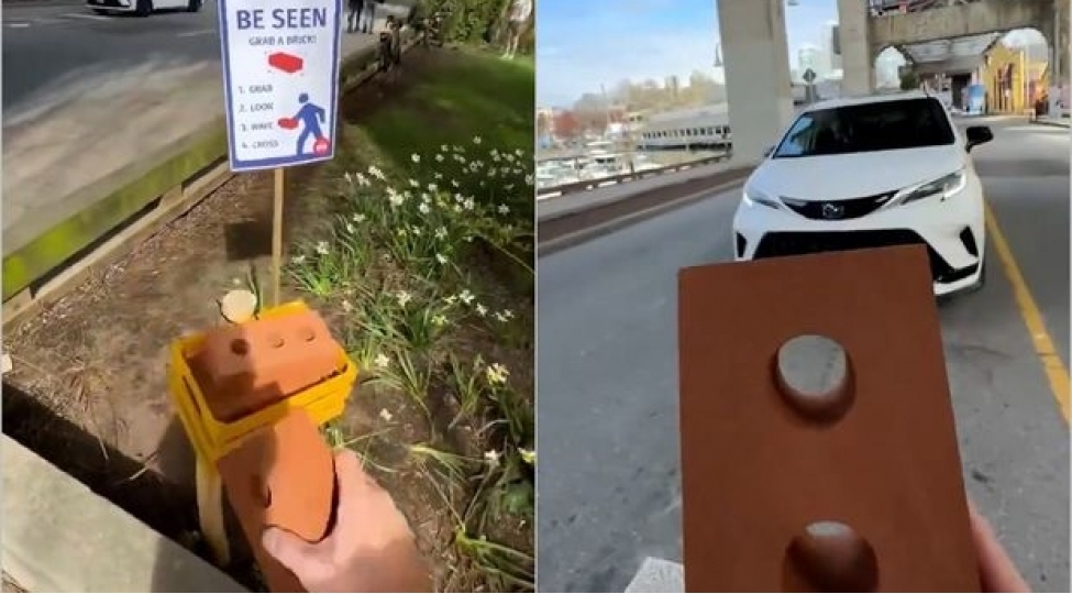 kanadadan-piyada-kechidlerinden-rahat-kechmek-uchun-kerpicli-hell-video