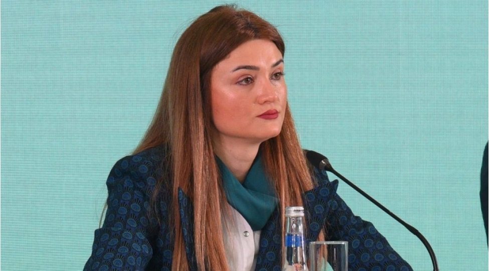 nermin-carchalova-cop29-a-hazirliq-prosesinde-bmt-temsilchileri-konulluler-ve-media-numayendeleri-ishtirak-edirler