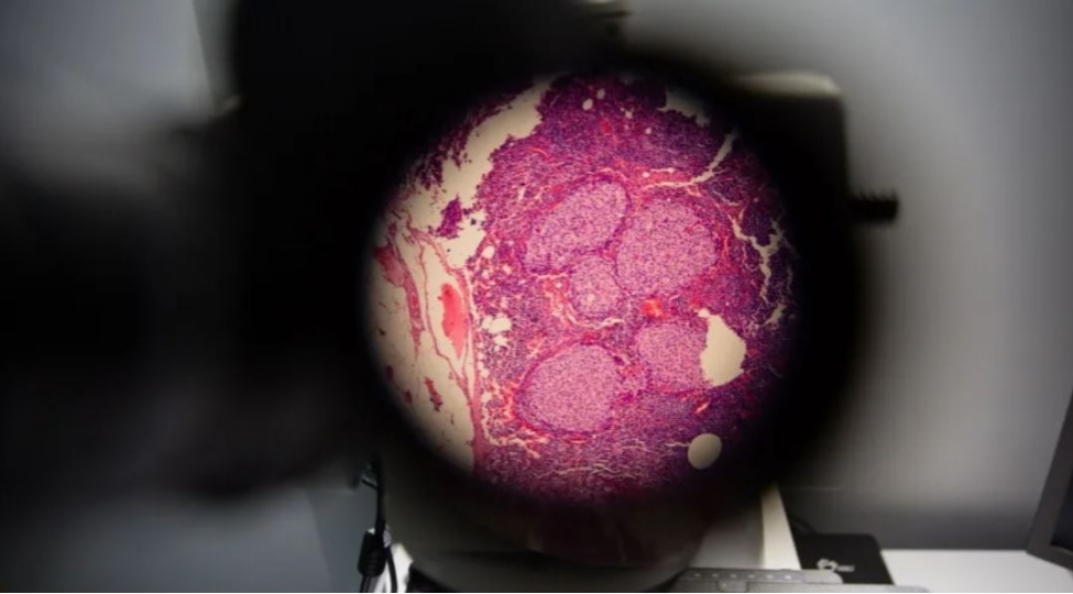 alimler-xercheng-huceyresinin-ichini-mushahide-edibler