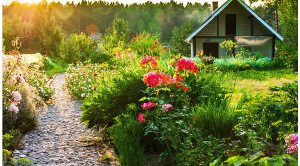 baginiza-vitaminler-ekin