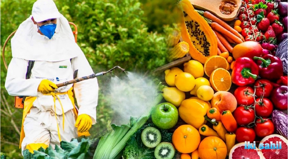 meyve-ve-terevezlerde-pestisid-riski-qida-maddeleri-nece-temizlenmelidir