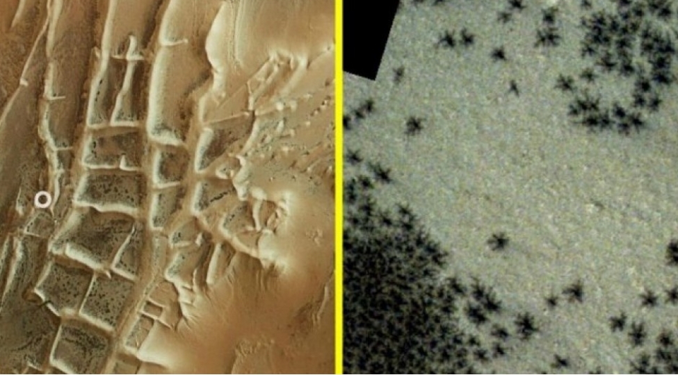 marsda-horumchek-peyda-olub