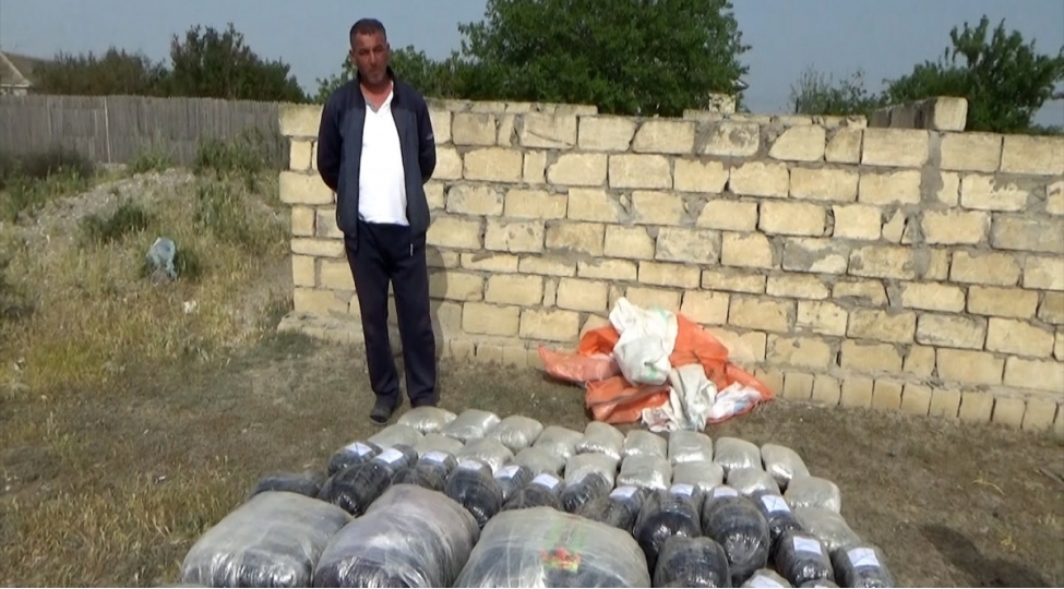 azerbaycana-irandan-getirilen-87-kq-narkotik-ashkarlanib-neftchala-sakini-saxlanilib-video