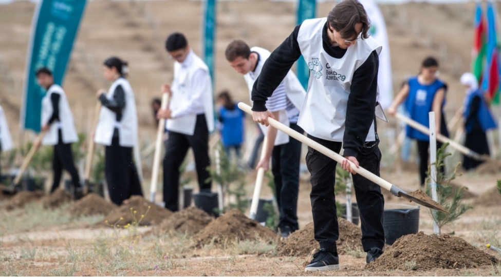 cop29-cherchivesinde-agacekme-aksiyasi-ve-fleshmob-kechirilib