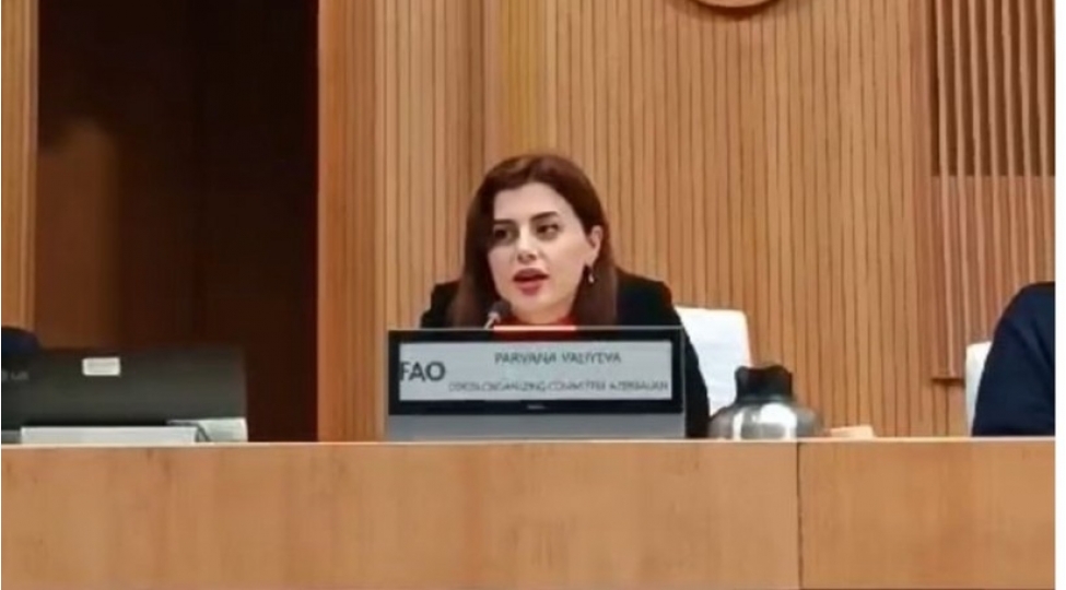 azerbaycan-olkeler-arasinda-korpu-rolunu-oynamaq-uchun-sey-gosterir