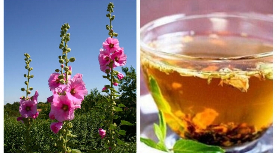 her-heyetde-biten-can-dermani