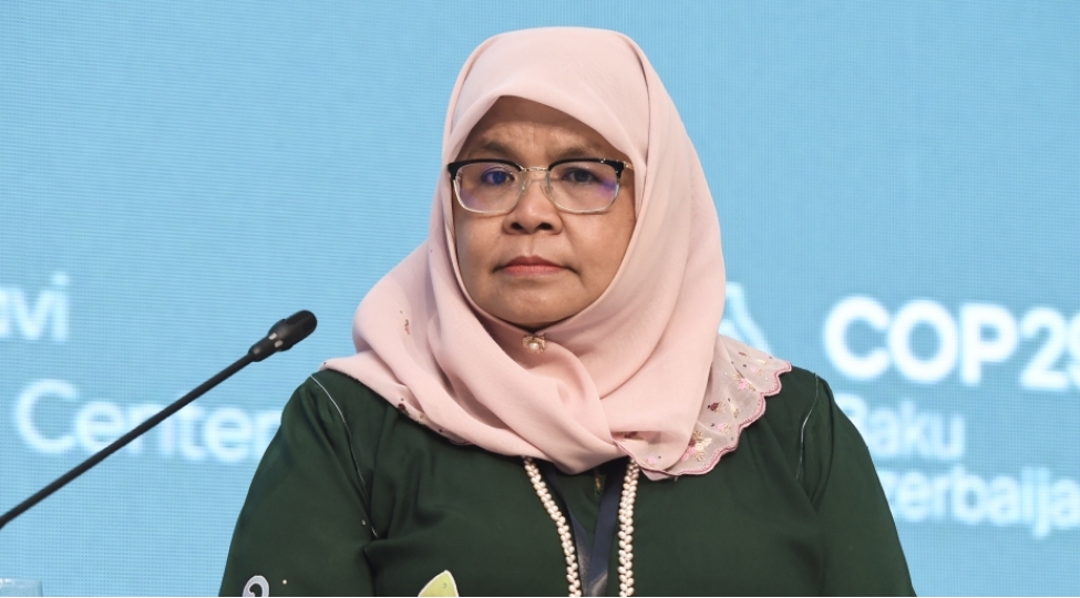 maimuna-mohd-sherif-iqlim-deyishikliyinin-qarshisinin-alinmasi-uchun-investisiya-qoyulushlari-zeruridir