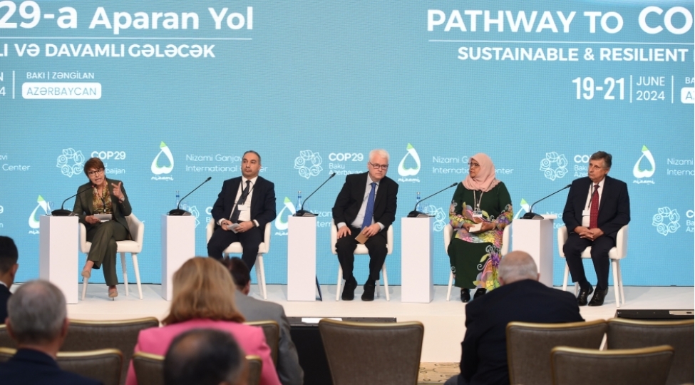 yuksek-seviyyeli-29-cu-toplanti-cherchivesinde-balanslashdirma-azaltma-uygunlashma-ve-davamliliq-movzusu-muzakire-olunub