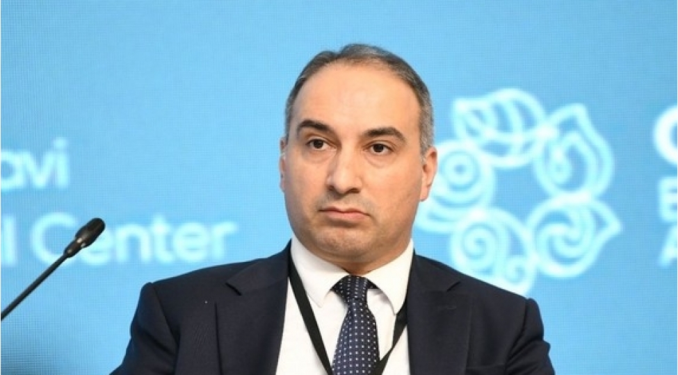 hebib-mikayilli-cop29-iqlim-deyishikliyi-ile-mubarizeye-ehemiyyetli-tesir-gosterecek