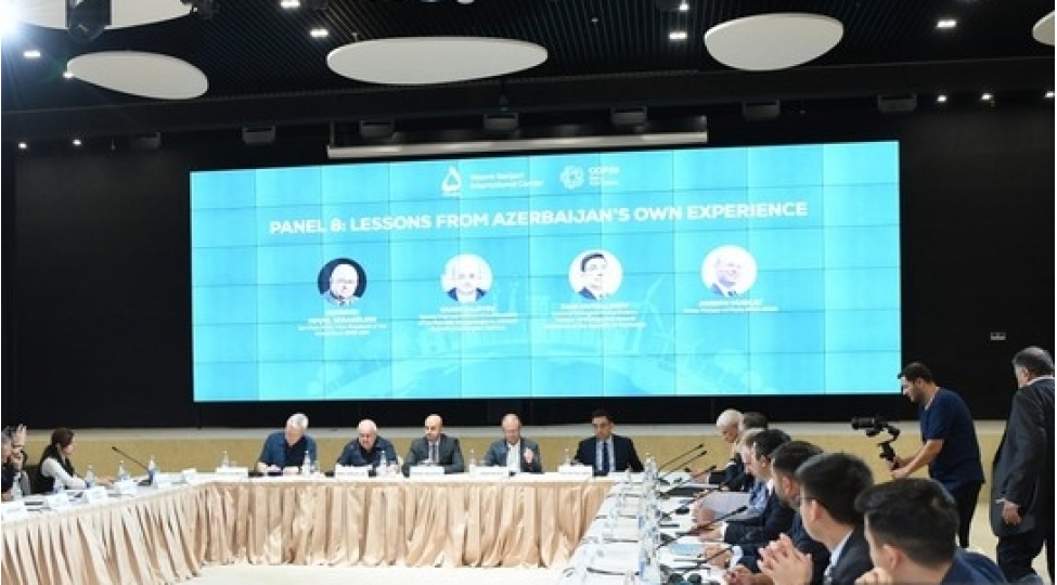 zengilanda-cop29-a-aparan-yol-dayaniqli-ve-davamli-gelecek-movzusunda-yuksek-seviyyeli-gorush-davam-edir