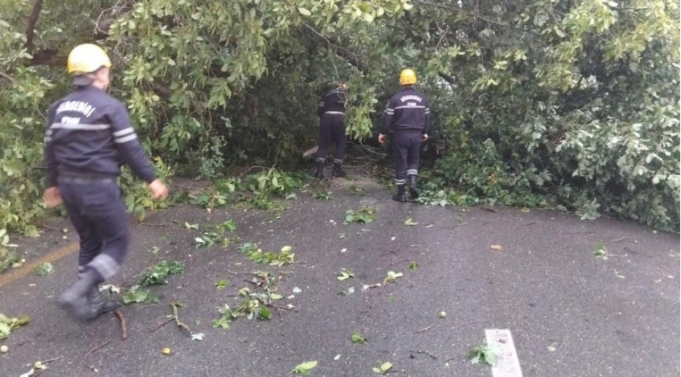 nohurqishlaq-kendinden-kechen-magistral-yolda-serbest-hereket-berpa-edilib