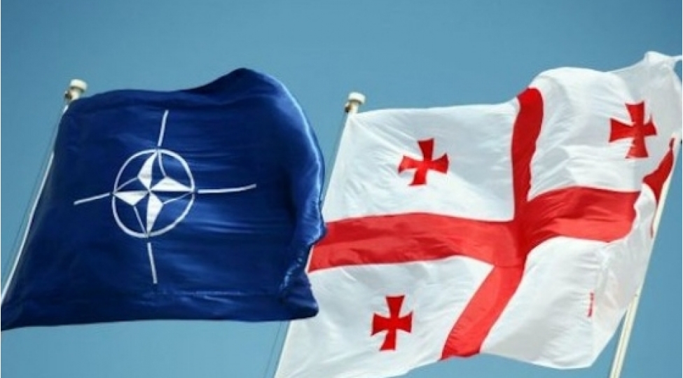 gurcustan-ve-nato-resmileri-regiondaki-veziyyeti-muzakire-edibler