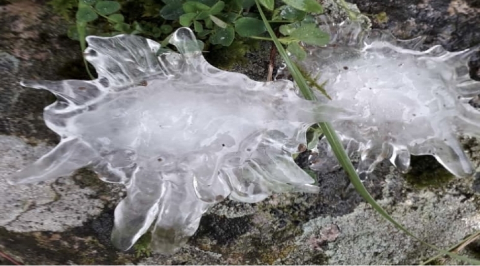 shimshek-chaxir-arabir-leysan-xarakterli-intensiv-yagish-yagir-faktiki-hava