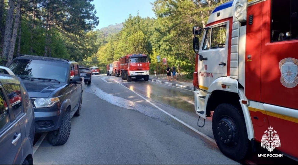 yaltanin-dag-meshe-zonasinda-yangin-bash-verib