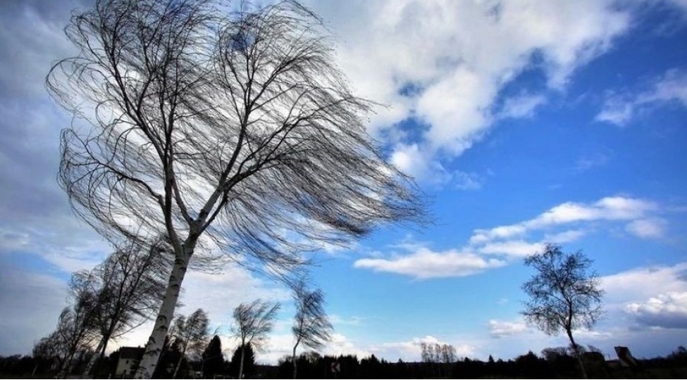 bakida-ve-rayonlarda-kulek-guclenecek-sari-xeberdarliq