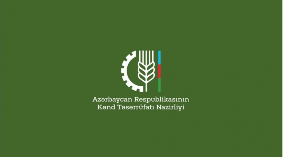 uzumchuluk-ve-sherabchiliq-elmi-tedqiqat-institutunun-emekdashlari-ixtiraya-patent-alib