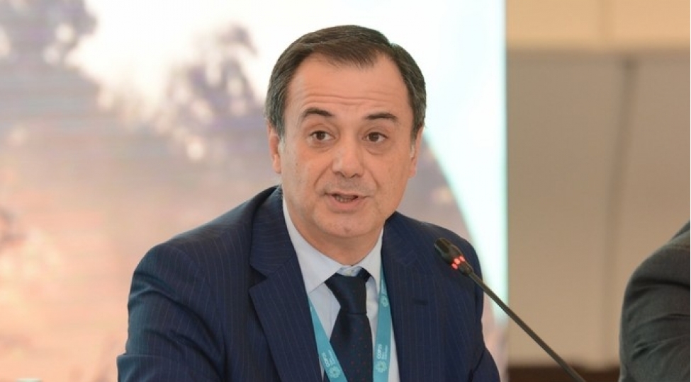 cop29-sulh-ve-iqlim-teshebbusu-liderler-qrupuna-daxil-olan-olkelerin-adlari-melum-olub